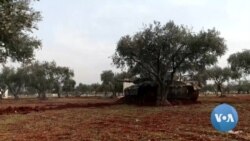 Assad Vows to Return All Rebel-Held Areas Under Damascus Control 