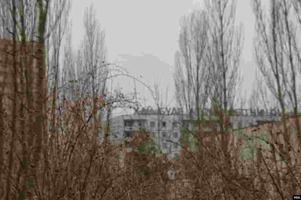 Tanaman liar tumbuh di desa-desa di dalam zona eksklusif di Pripyat, Ukraina (19/3). (VOA/Steve Herman)