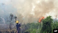 Petugas berusaha memadamkan api di hutan di Pekanbaru, Riau. (Foto: Dok)