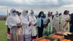 Bulchiinsi Finfinnee Qonnaan-bultoota Magaalattiif Gargaarsa Kenne