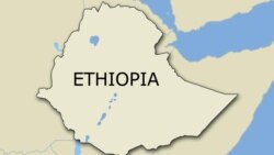 ኢትዮጵያ በ2016 - የመንግሥቱ ግምገማ