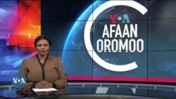 Tamsaasa Guyaadhaa Guyyaa