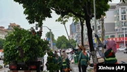 台湾魔羯在海南海口过境前，工人预先砍去街道树木的枝干以防止台风造成更大损害。（2024年9月5日）