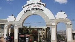 Barattootii yuniverstii Amboo marii araara barattootaa taa'an