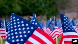 American flag, cemetery