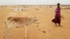 Millions at Risk as Drought Threatens Eastern Africa