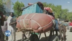 ፈነወ ትግርኛ 1900