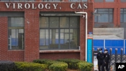 资料照：武汉病毒研究所 