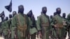 A February, 2011 photo shows al-Shabab fighters on parade with their guns .