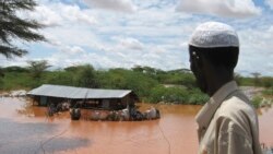 Faalamaa Qilleensaa fi Miidhaa Isaa