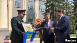 美国国防部长埃斯珀（右）2019年8月8日访问蒙古乌兰巴托时接受一匹蒙古马为礼物。