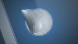 ቆይታ ከማንዴላ ዋሺንግተን የጉድኝት መርሃ -ግብር ተሳታፊዎች ጋር