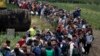 Migrants line up after crossing a border from Croatia near the village of Zakany, Hungary, Sept. 26, 2015.