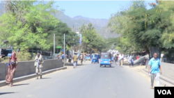 አላማጣ ከተማ/መስፍን አራጌ