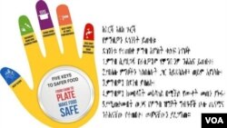 የምግብዎን ደኅንነትና ጤና ይጠብቁ