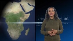 Oduu Afrikaa Daqiiqaa Tokkoo