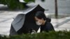 A woman holding her umbrella walks in strong winds in Seoul on August 27, 2020 after Typhoon Bavi hit the Korean Peninsula. - The effects of Typhoon Bavi hit South Korea's southern and western coastal areas on August 26, packing strong winds and…