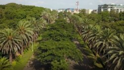 የሕዝብ ዕንባ ጠባቂ ተቋም የተማሪዎቹን ቅሬታ ወደ ፓርላማ ሊወስደው እንደሚችል ገለፀ