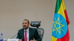 በጠቅላይ ሚኒስትሩ ገለፃ ላይ የተሰጡ አስተያየቶች