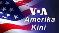 Amerika Kini : Museum Anjing Dibuka di Kota New York