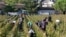 FILE - Workers collect red grapes in the vineyards near Bordeaux, France.