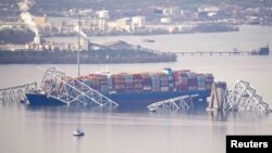 Претседателот на САД рече дека нема причина да се сомнева во тероризам во врска со овој инцидент, и покрај бројни теории на заговор за причината за инцидентот на американските веб-страници