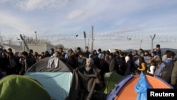 在希腊与马其顿接壤处的一个临时难民营里，一名移民在整理她的帐篷。(2016年3月5日)