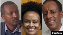  ዶ/ር አዳነ ገበያው ካሳ፥ ዶ/ር ሃዋኒ ንጉሴ እና ዶ/ር ፋንታሁን አድማስ