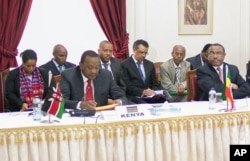 ናይሮቢ ላይ የተካሄደው የኢጋድ ስብሰባ ሁለተኛ ቀን ውይይት፤ ዓርብ፣ ታኅሣስ 18/2006 ዓ.ም - ናይሮቢ ቤተመንግሥት