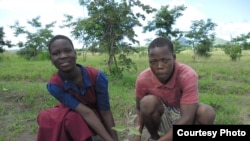 In Malawi, students plant trees in the woodlot of Kanje primary school (Photo: Mary's Meals)