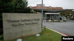 马里兰州贝塞斯达，美国国立卫生研究院的入口（2014年10月16日）。