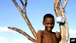 The Bushmen have survived across southern Africa for generations in harsh, arid environments