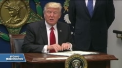 Göçmenlik Yasası Değişecek mi?