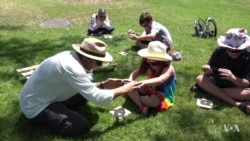 Natural Art: Painting With the Sun and a Magnifying Glass