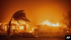 Пожарв Итоне, 8 января 2025 года, в Альтадене, Калифорния.