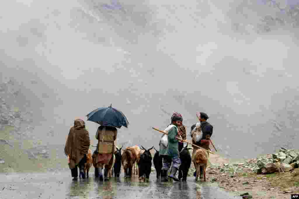 Afghan shepherds walk with their sheep along a street in Khash district of Badakhshan province.