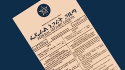 ህገ-መንግስታዊ ትርጓሜ በምን መልኩ ይከናወናል? የባለሙያ ማብራሪያ