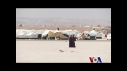 埃及热情接待叙利亚难民