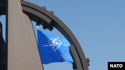 NATO FLAG