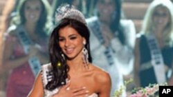 Steal စကားလုံးဆိုင်ရာ အီဒီယံ အသုံးအနှုန်းများ