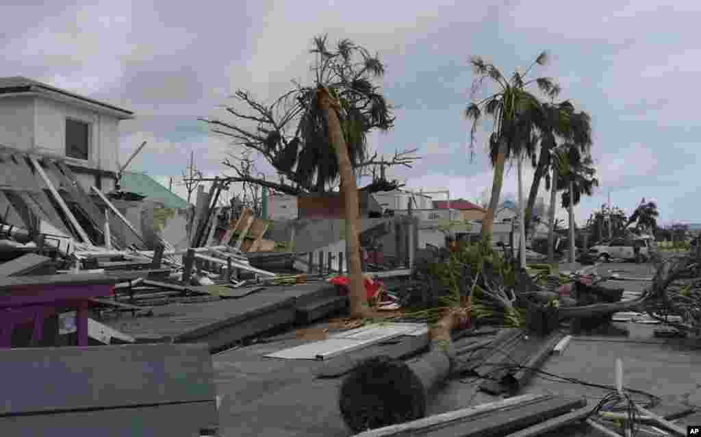 Damaged buildings and fallen trees litter downtown Marigot, on the island of St. Martin, after the passing of Hurricane Irma, Sept. 9, 2017.