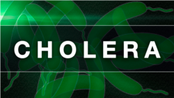 ኣብ ክልል ትግራይ ብዝተራእየ ሕማም ሸሮኽ(ኮሌራ) 13 ሰባት ምሕማሞም ተገሊጹ