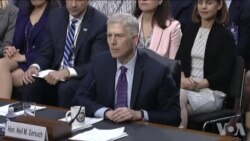 戈萨奇：川普未向他提出推翻堕胎合法化裁决