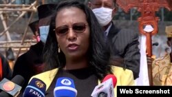 የአዲስ አበባ ከተማ ምክትል ከንቲባ አዳነች አቤቤ 