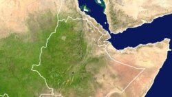 ሁለት ሳምንት የተቃረበው የሰሜን ኢትዮጵያው ጦርነት