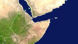 “ሸኔ” በተባሉ ታጣቂዎች በተከፈተ ጥቃት ሰዎች መገደላቸውና እስረኞች ማምለጣቸው ተነገረ