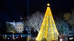 President Barack Obama, first lady Michelle Obama, and their daughters Sasha, and Malia, and Michelle's mother Marian Robinson, react as they light the National Christmas Tree during the National Christmas Tree Lighting ceremony at the Ellipse in Washington, Dec. 3, 2015. 