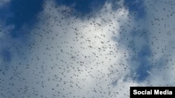 Boorannii awwaanisa itti baafate qorqooroo itti dhaane aara itti afuufee ufi irraa dhowwuutti jira