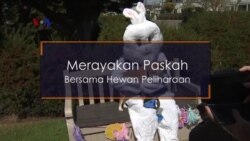 VOA Pop News: Paskah di Amerika dan 2 Band Indonesia Tampil di SXSW (1)