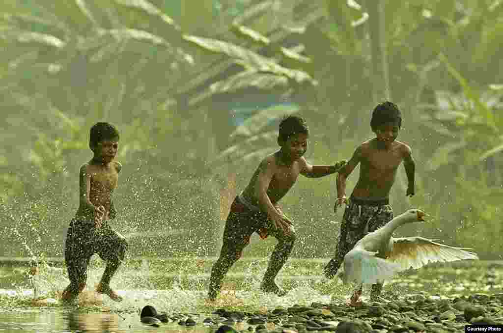 Erwin Kurniawan dari Indonesia mendapat juara harapan lewat foto berjudul &quot;Chasing Geese&quot;.